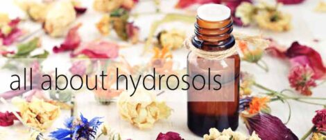 All About Hydrosols Image